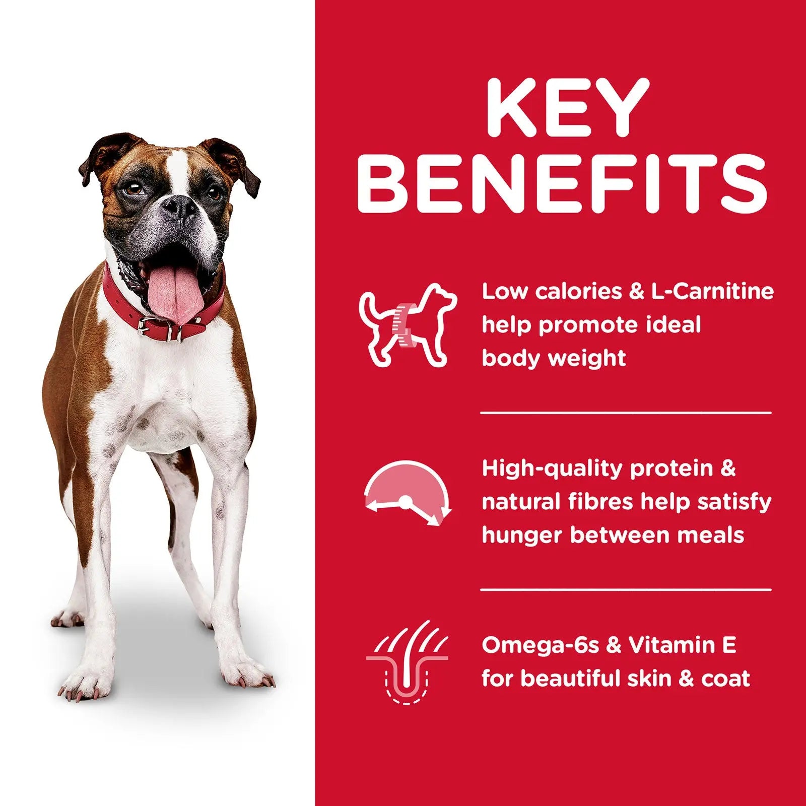 Hill's Science Diet Dog Food Adult Light - Kellyville Pets