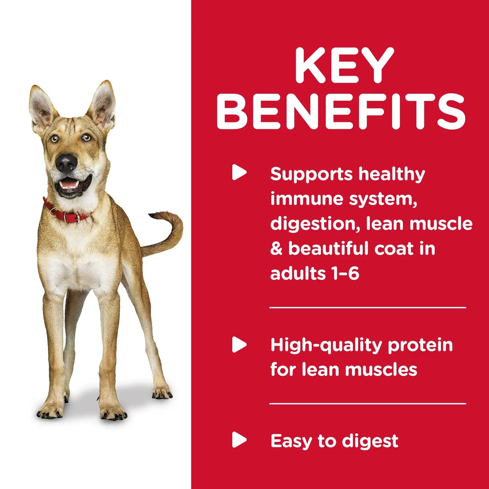 Hill's Science Diet Dog Food Can Adult Savoury Stew with Chicken & Vegetables - Kellyville Pets