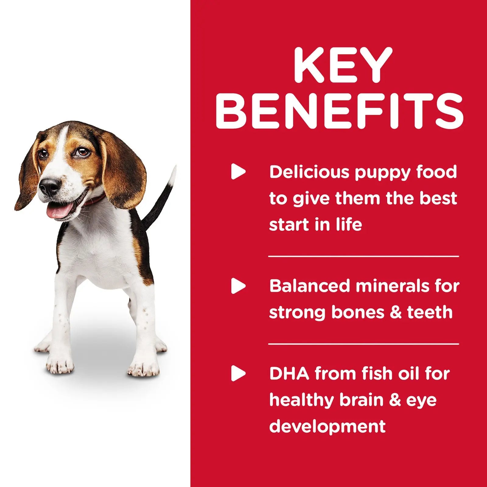 Hill's Science Diet Dog Food Can Puppy Chicken & Barley Entrée - Kellyville Pets