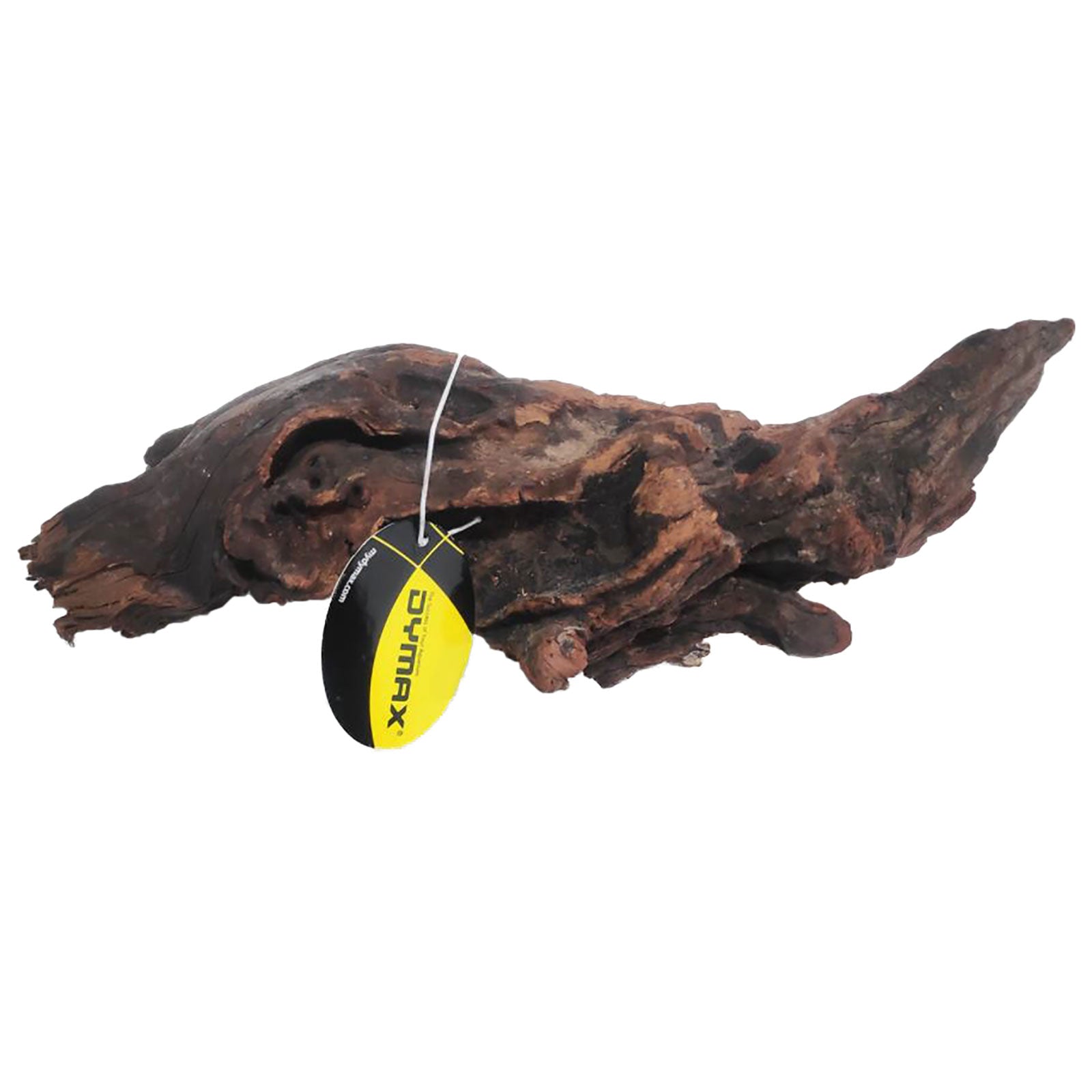 Dymax Driftwood