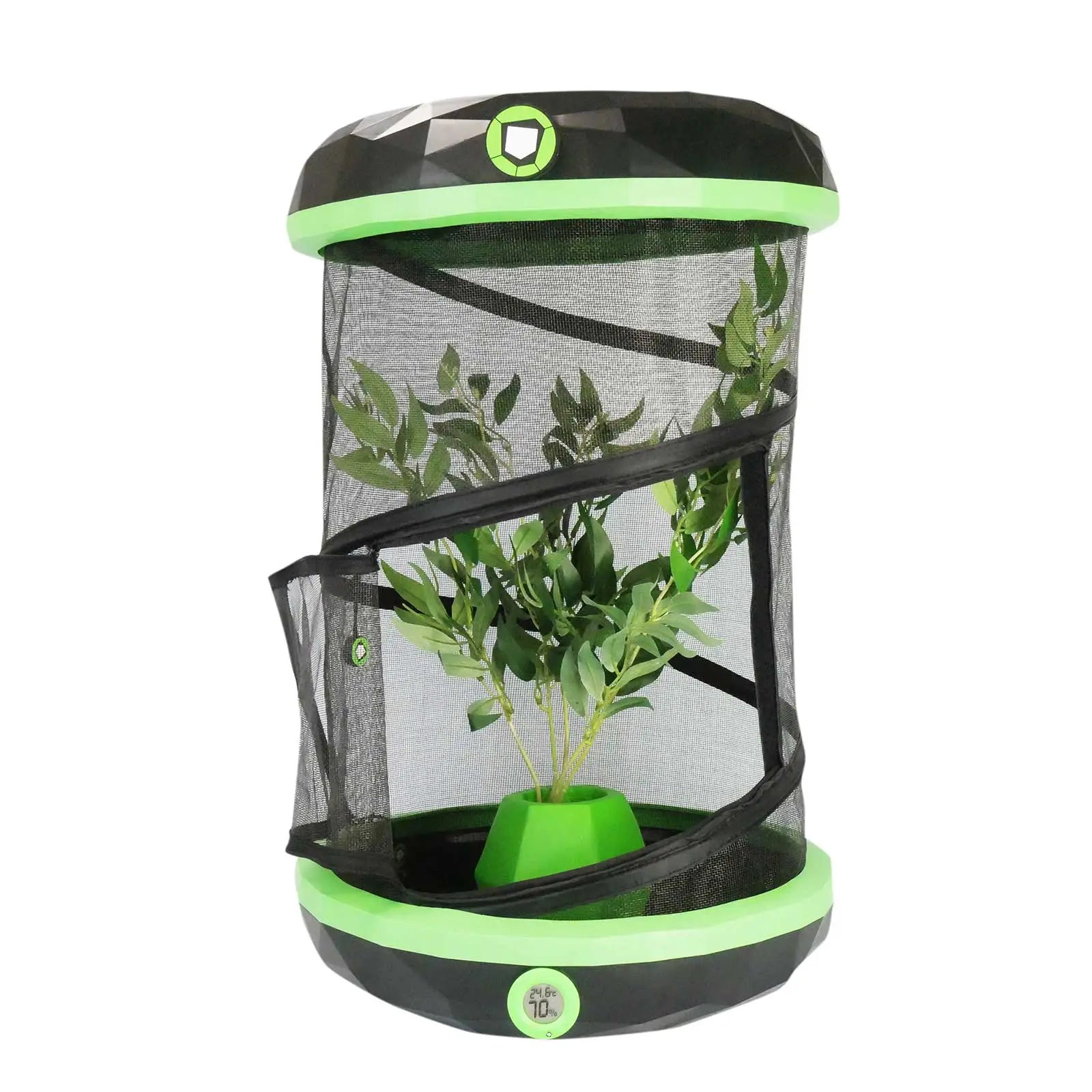 Insectimo Pod Stick Insect Enclosure - Kellyville Pets