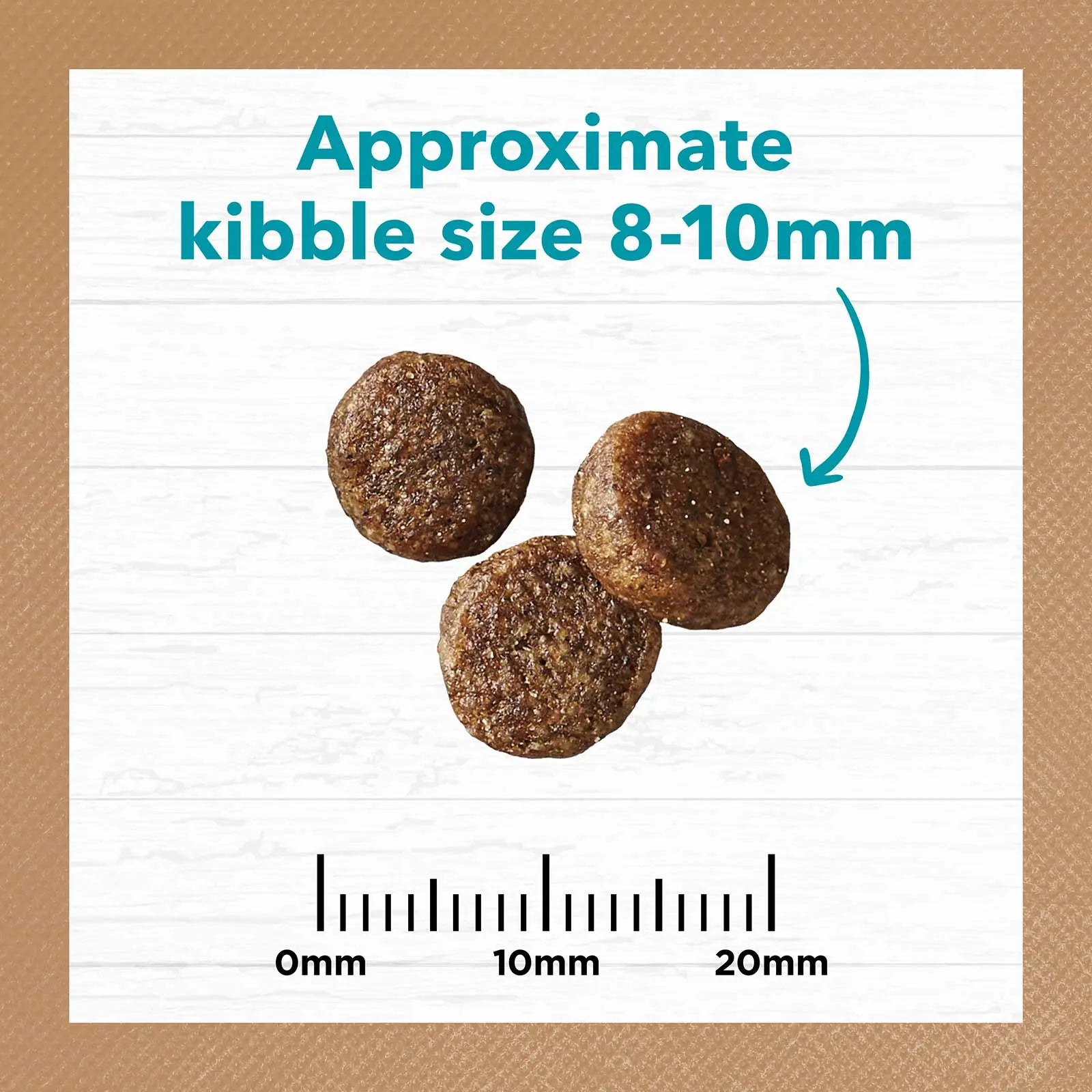 Ivory Coat Grain Free Cat Food Adult Ocean Fish & Salmon - Kellyville Pets