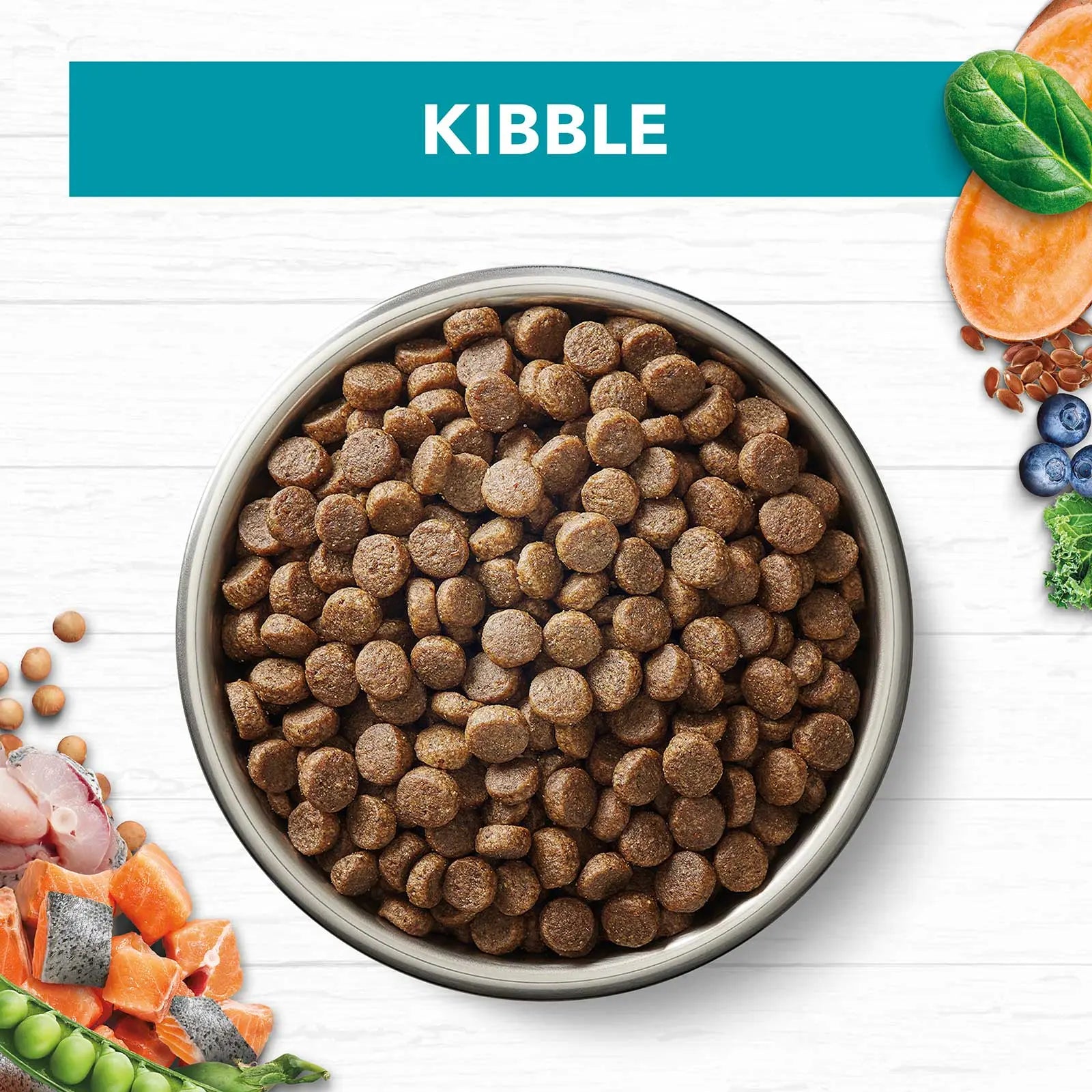 Ivory Coat Grain Free Cat Food Adult Ocean Fish & Salmon - Kellyville Pets