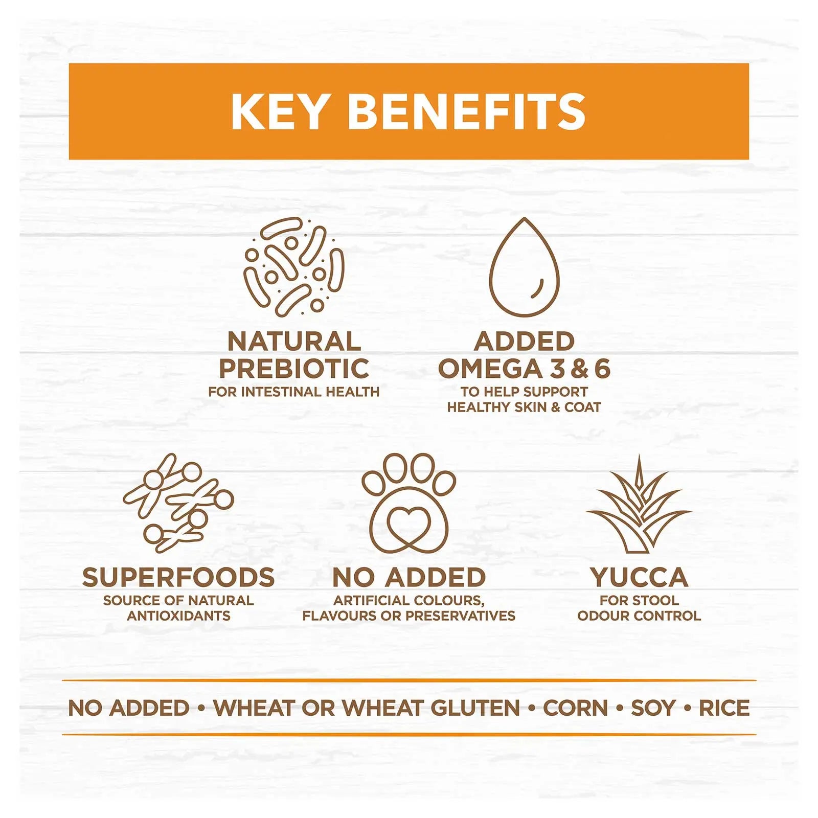 Ivory Coat Grain Free Dog Food Adult Chicken with Coconut Oil - Kellyville Pets