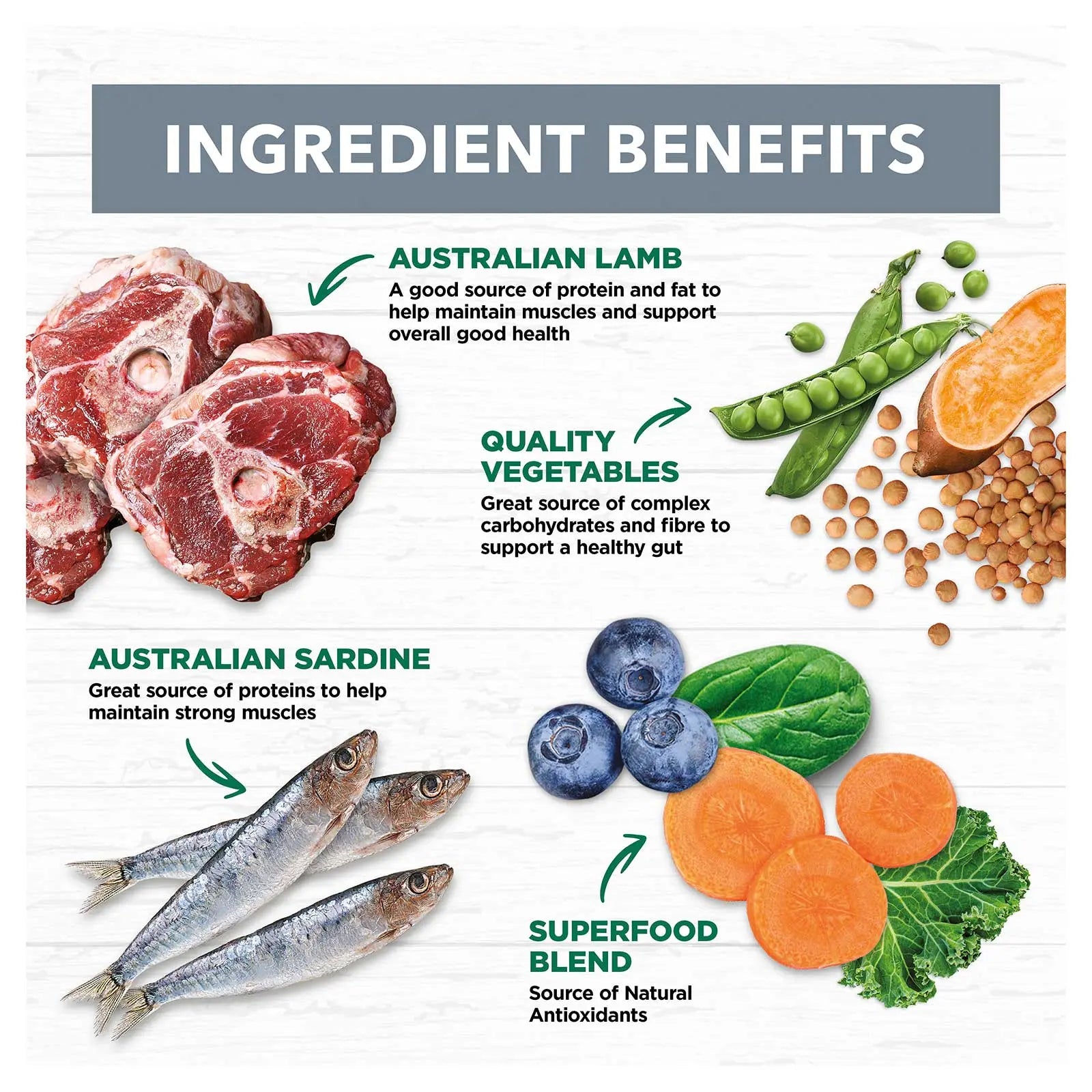 Ivory Coat Grain Free Dog Food Can Adult Lamb & Sardine Stew - Kellyville Pets