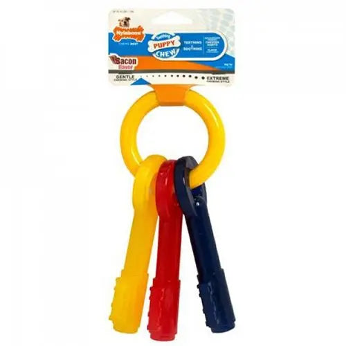 Nylabone Puppy Chew Keys Bacon Dog Toy - Kellyville Pets