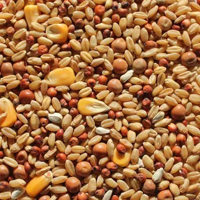 Pigeon Mix - Kellyville Pets
