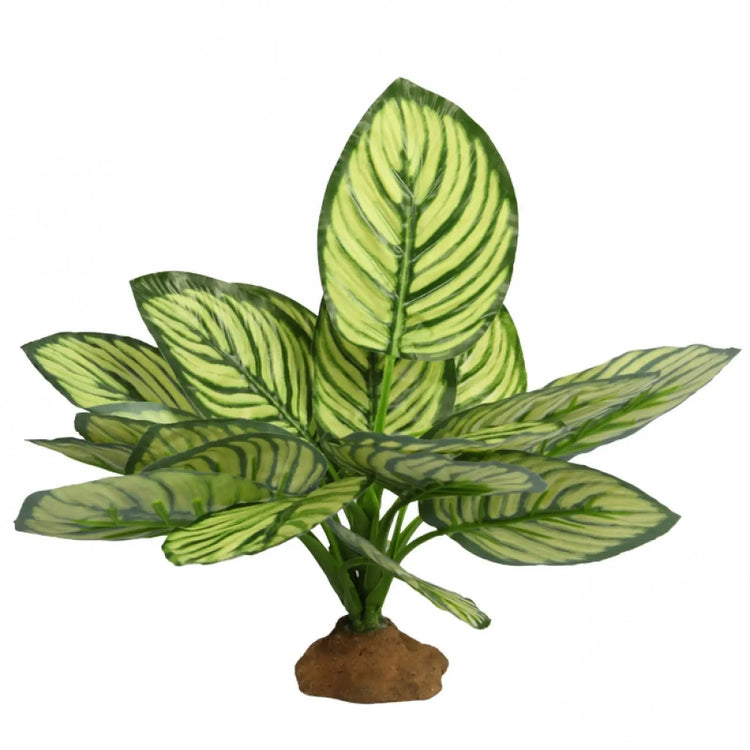 Reptile One Plant Brandtianum with Base - Kellyville Pets