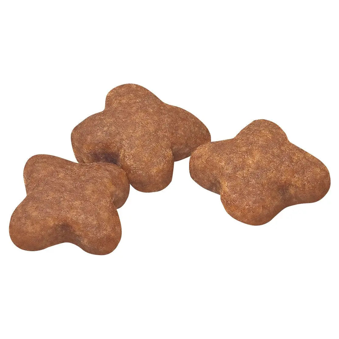 Royal Canin Dog Food Adult 8+ Mini - Kellyville Pets