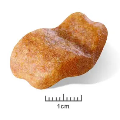 Royal Canin Dog Food Adult Bulldog - Kellyville Pets