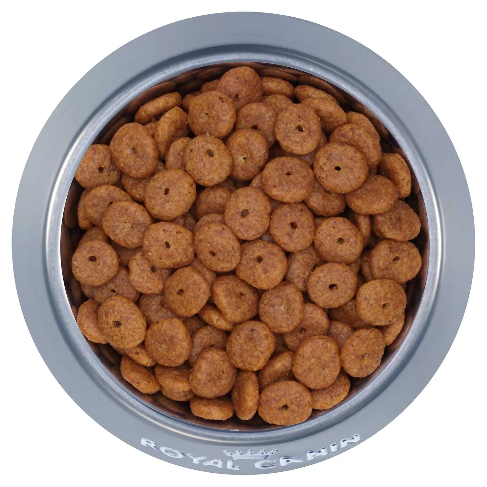 Royal Canin Dog Food Ageing 12+ Mini - Kellyville Pets