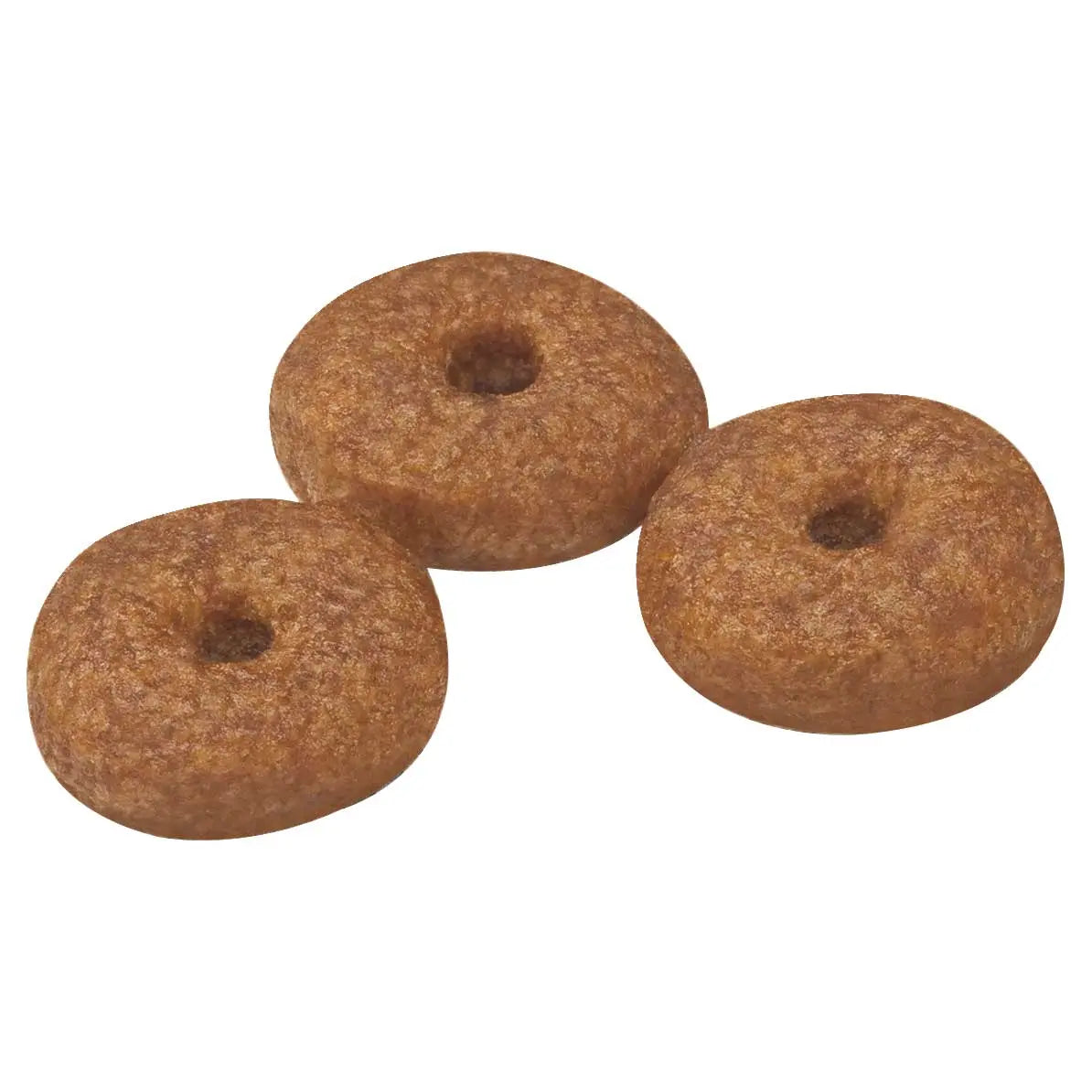 Royal Canin Dog Food Ageing 12+ Mini - Kellyville Pets