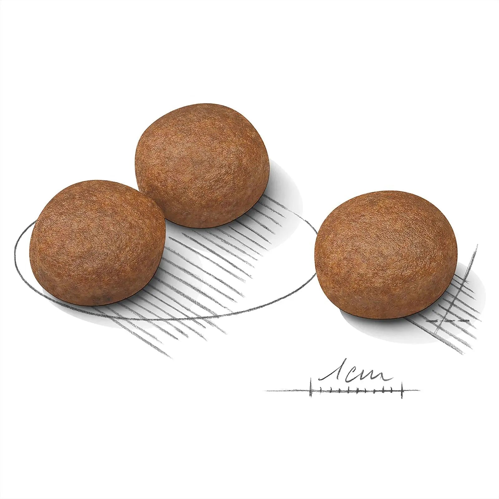 Royal Canin Dog Food Digestive Care Medium - Kellyville Pets