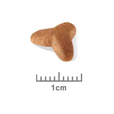 Royal Canin Dog Food Puppy Pug - Kellyville Pets