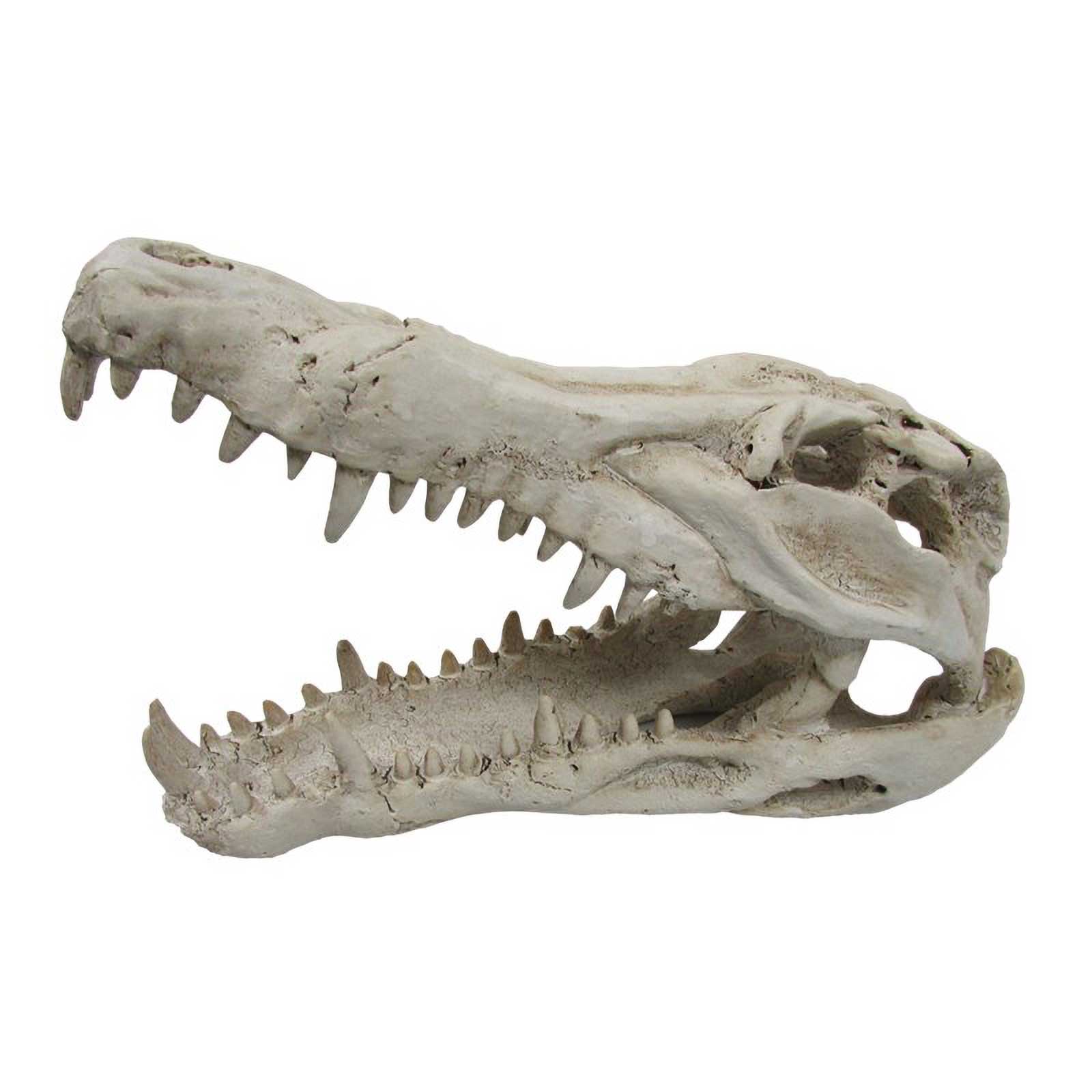 URS Ornament Crocodile Skull