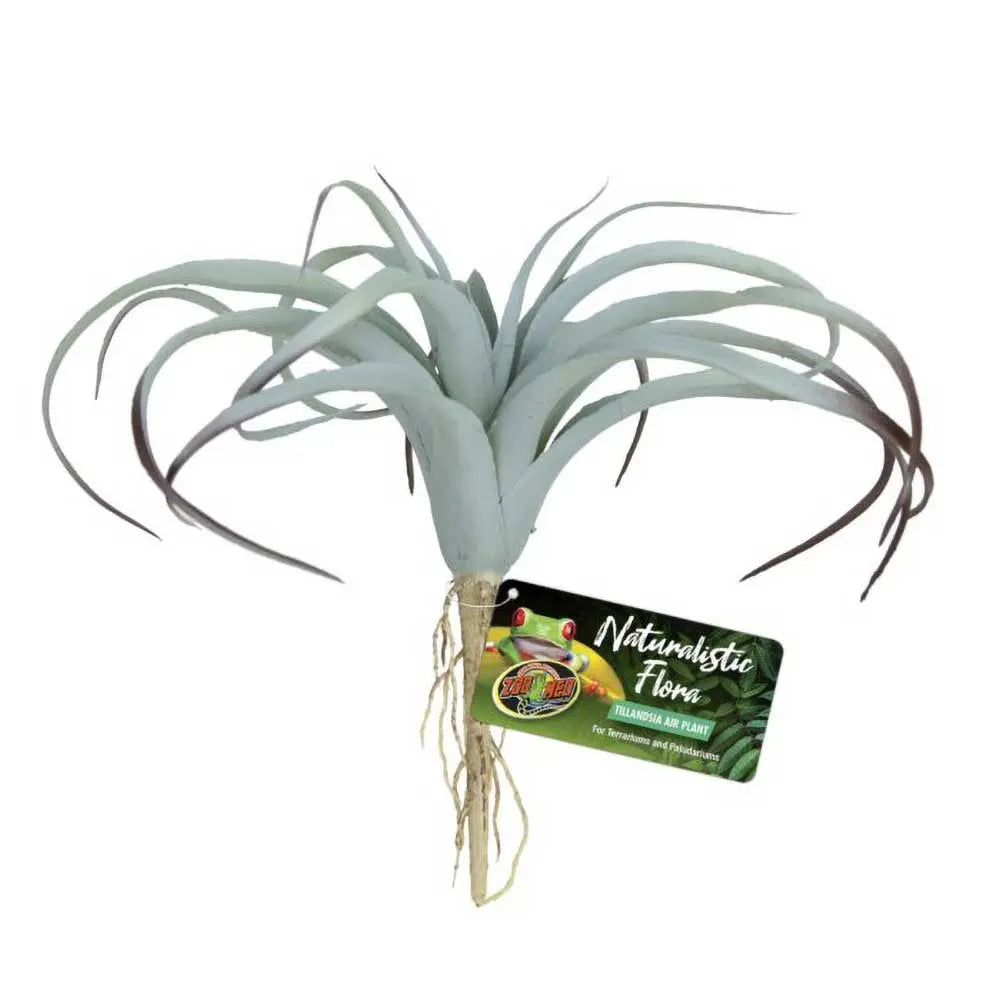 Zoo Med Plant Tillandsia - Kellyville Pets